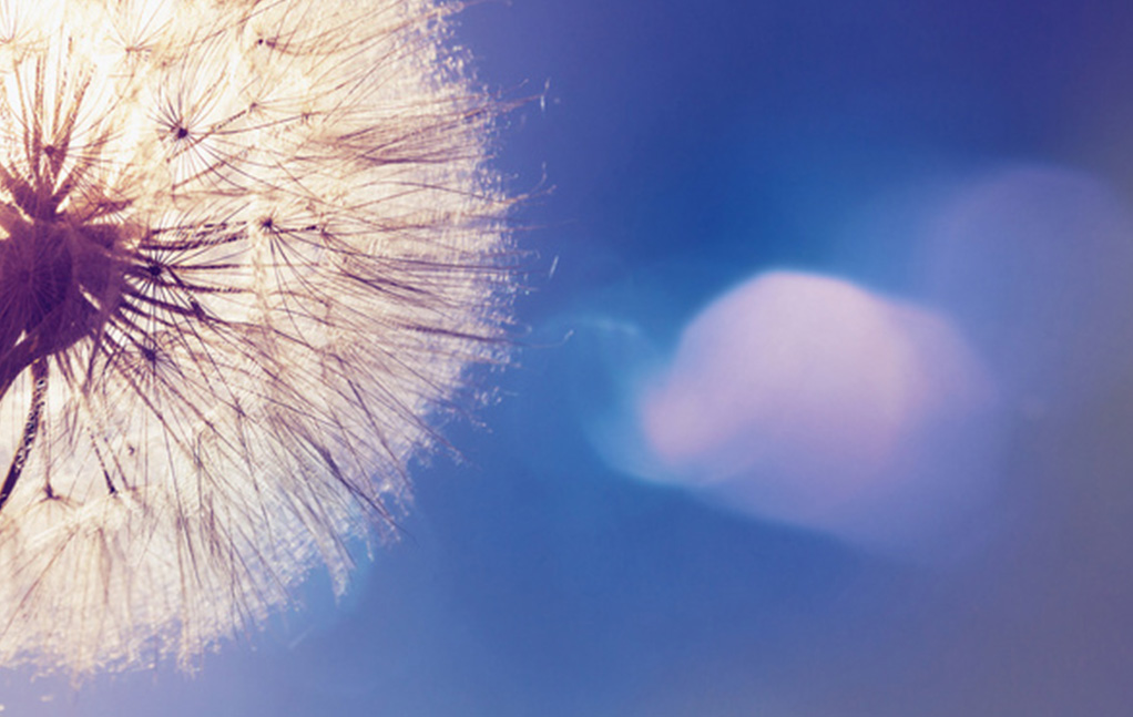 壹定发(中国游)最新官方网站